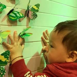 Meet your Posher, Ahmad